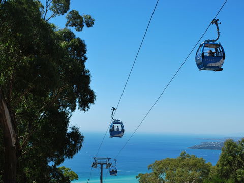 Arthurs Seat Eagle - Accommodation Melbourne 0