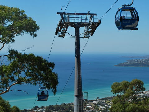 Arthurs Seat Eagle - Accommodation Melbourne 2