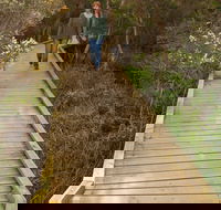 Balcombe Creek Estuary Boardwalk - Accommodation Melbourne