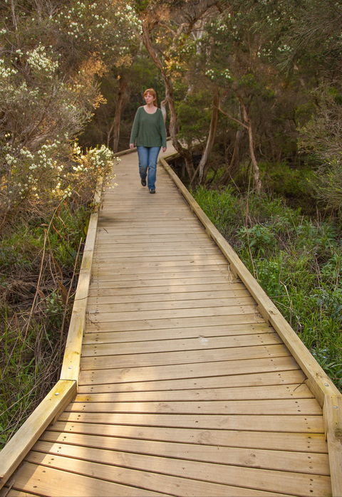 Balcombe Creek Estuary Boardwalk - Accommodation Melbourne 0