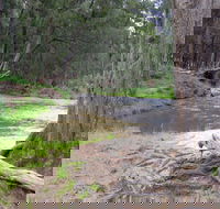 Bangadilly National Park - Accommodation Melbourne
