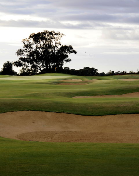 Black Bull Golf Course - Accommodation Melbourne 1