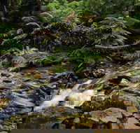 Budderoo National Park - Accommodation Melbourne