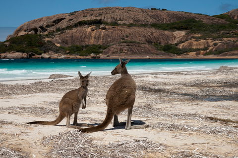 Cape Le Grand National Park - Accommodation Melbourne 0
