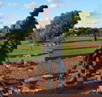 Cobar Miners Heritage Park - Accommodation Melbourne