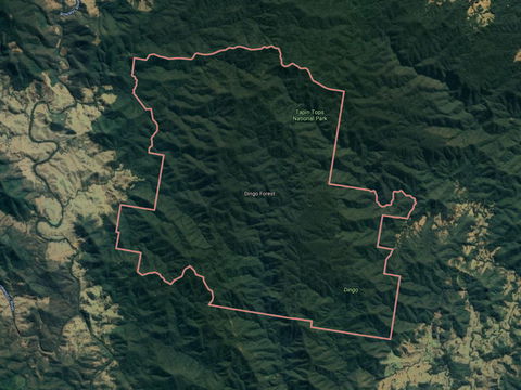 Dingo Forest - Accommodation Melbourne 0