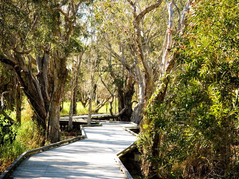 Eagleby Wetlands - Accommodation Melbourne 1