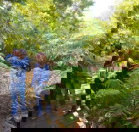 Endeavour Fern Gully Walks - Accommodation Melbourne