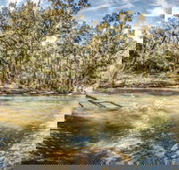 Flea Creek Picnic Area - Accommodation Melbourne