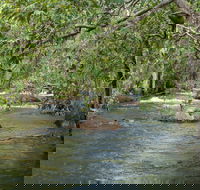Florence Creek walk - Accommodation Melbourne