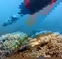Geoffrey Bay Snorkel Trail - Accommodation Melbourne