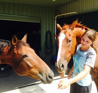 Iris Lodge Alpacas - Accommodation Melbourne