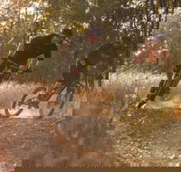 Kholo Gardens Trails - Accommodation Melbourne