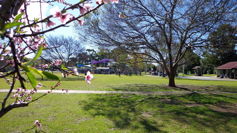 Koshigaya Park - Accommodation Melbourne 0