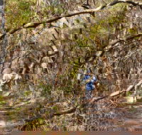 Lyrebird Dell walking track - Accommodation Melbourne