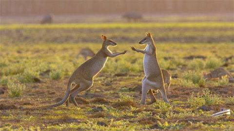Mary River Area - Accommodation Melbourne 0