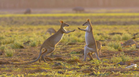 Mary River Area - Accommodation Melbourne 1
