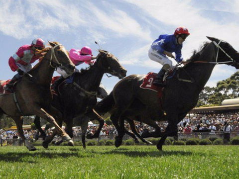 Moruya Racecourse - Accommodation Melbourne 0