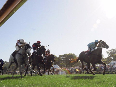 Moruya Racecourse - Accommodation Melbourne 1