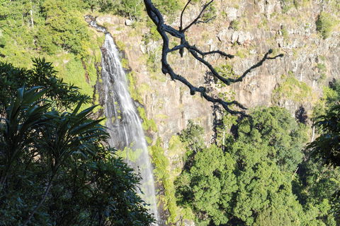 Morans Falls Track, Lamington National Park - Accommodation Melbourne 0