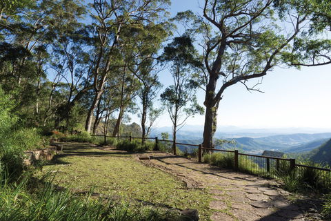 Morans Falls Track, Lamington National Park - Accommodation Melbourne 1