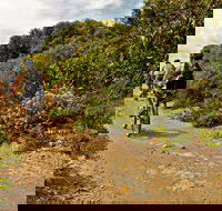 Mountain Biking Trails - Accommodation Melbourne