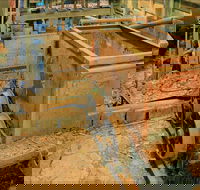 Mountain Maid gold mine - Accommodation Melbourne
