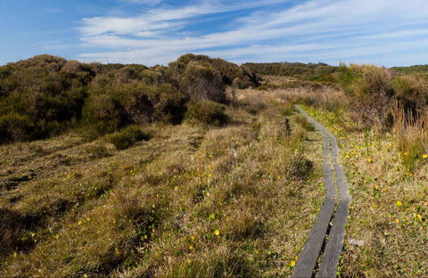 Murramarang Aboriginal Area Walking Track - Accommodation Melbourne 0