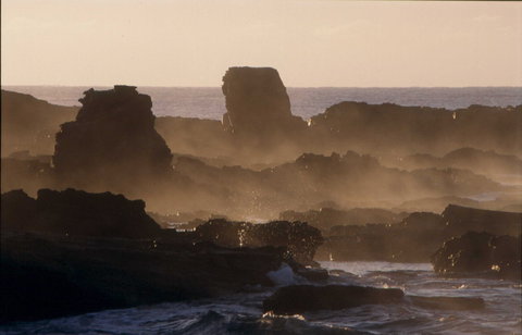 Mystery Bay Short Walk - Accommodation Melbourne 1