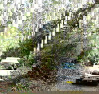 Orara Escarpment 4WD Touring Route - Accommodation Melbourne