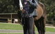 Otford Farm Horse Riding - thumb 0