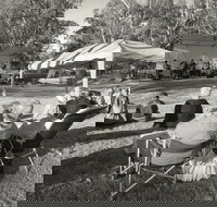 Pioneer Park - Accommodation Melbourne