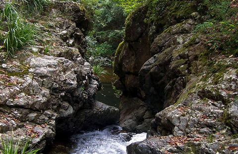 Potoroo Falls Walk - Accommodation Melbourne 0