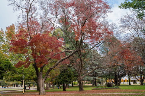 Queanbeyan Central Park - Accommodation Melbourne 1