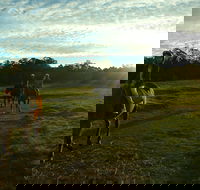 Scenic NSW Horse Riding Centre - Accommodation Melbourne
