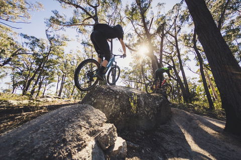 St Helens Mountain Bike Trails - Accommodation Melbourne 1