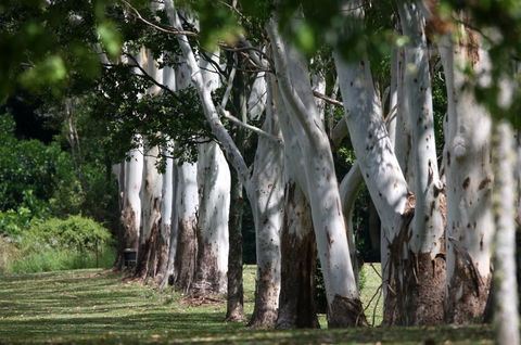 Teven Valley Golf Course - Accommodation Melbourne 1