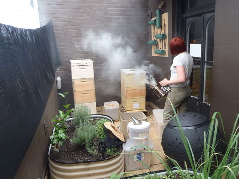 The Urban Beehive Port Botany - Accommodation Melbourne 0