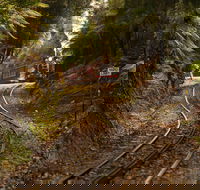 The West Coast Wilderness Way - Accommodation Melbourne