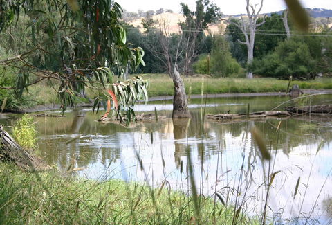 Tumut Wetlands - Accommodation Melbourne 0