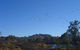 Tumut Wetlands - thumb 1