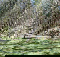 Wallaby Walking Track - Accommodation Melbourne