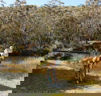 Wild Valley Art Park - Accommodation Melbourne