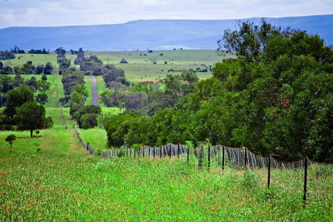 Wild Dog Barrier Fence - Accommodation Melbourne 0