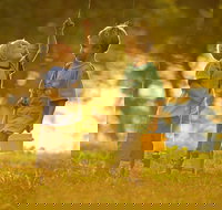 Wilsons River Experience Walk - Accommodation Melbourne