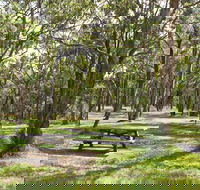 Wollomombi Gorge and Falls Picnic Area - Accommodation Melbourne