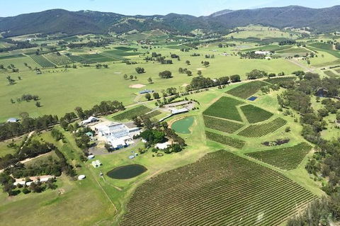 Helicopter Tour Of Hunter Valley In New South Wales With Lunch - Accommodation Melbourne 0