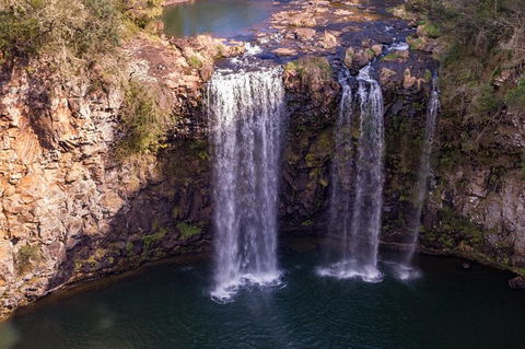 Rainforest & Waterfall Experience - Accommodation Melbourne 1