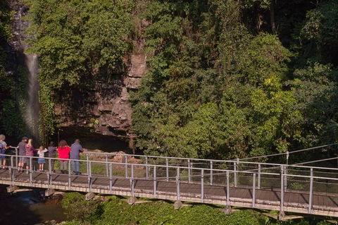 Rainforest & Waterfall Experience - Accommodation Melbourne 4