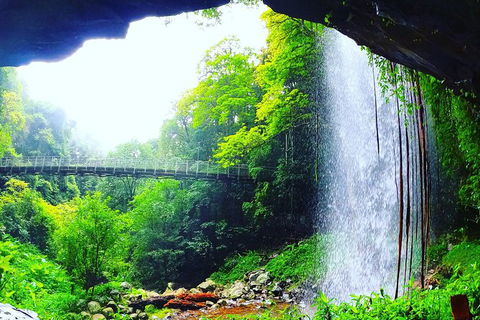 Rainforest & Waterfall Experience - Accommodation Melbourne 6